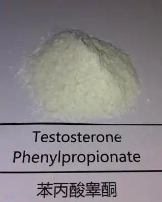  苯丙酸睾酮