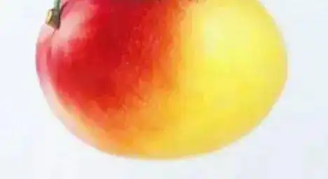  彩铅水果教程画一个超写实的芒果,手绘彩铅水果图片步骤