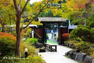 203期富士山下吃喝玩乐  203期富士山下吃喝玩乐