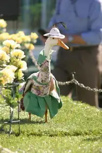  搞笑图片,农场的鸭子穿衣服,太好玩了