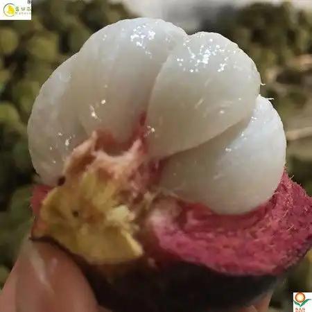  蕾切尔泰国山竹当季新鲜水果孕妇水果油麻竹净重5斤,5a大果,新疆西藏青海不发货图片大全邮乐官方网站