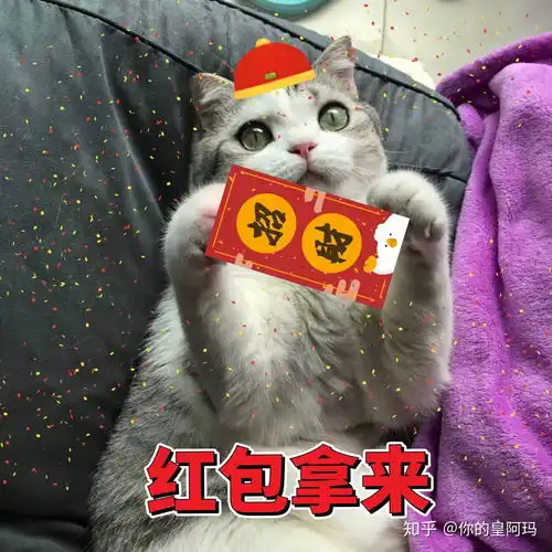 生日配图搞笑图片配图