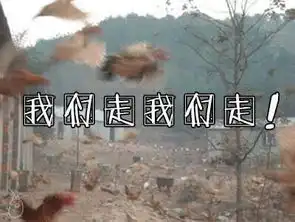 图说年假将尽,鸡年大吉了吗