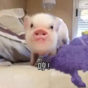  你见过哪些可爱的句子