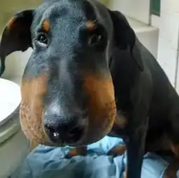 从今天起做优雅端庄的奶奶每日轻松一刻3月25日晚间版  从今天起做优雅端庄的奶奶每日轻松一刻3月25日晚间版