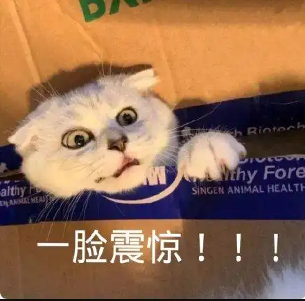  把二氧化碳关进海底,欧洲油气三巨头携手共建ccs项目