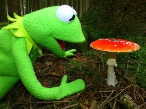  超级玛丽这蘑菇有毒