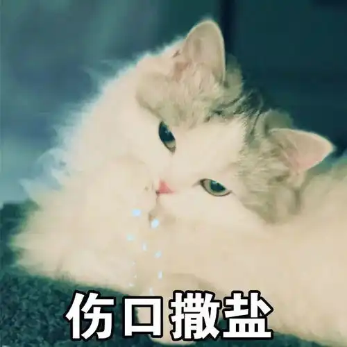  年底加月底,拒绝吃土,从我做起