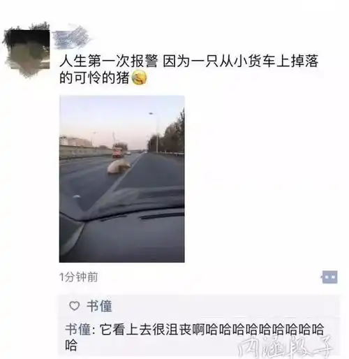  每日爆笑这款牛仔裤实在太内涵,把它送给你觉得适合的人