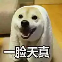 老板一份鸭肉饭亏本卖12元,然鹅知道真相的我眼泪掉下来