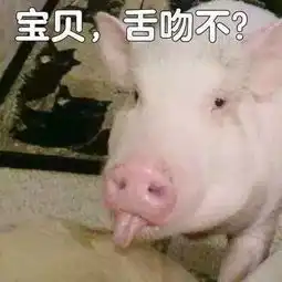  那些令人羡慕的暑假生活都长什么样