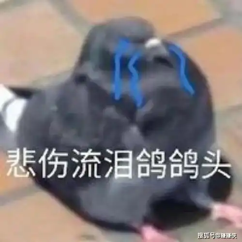  搞笑表情包图片不管你笑不笑,我反正是笑了