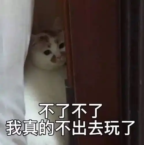 表情包图片最新热门的搞笑 表情包图片最新热门的搞笑