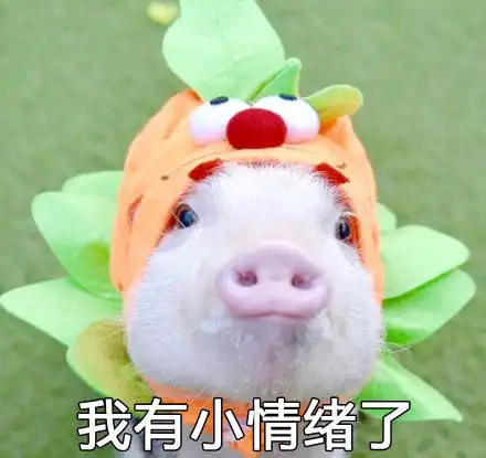  都是猪猪的表情包