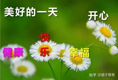  11月20日冬季早安问候语大全早上幽默问候祝福语句配图大全