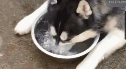 出去玩表情包搞笑图片搞