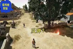  绝地求生信号枪击中敌人的头部会怎样一张图片告诉你