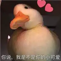 鸭子搞笑图片文字头像