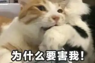 qq撩妹表情包全套上岸