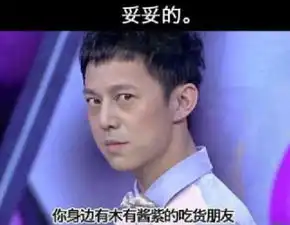  何炅遭网友ps超给力表情