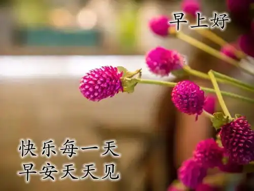  5月早晨好问候祝福图片早上好开心问候图片大全
