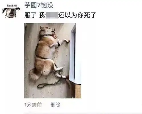  搞笑图片晒一晒你的朋友圈你的图片啊笑的不行了