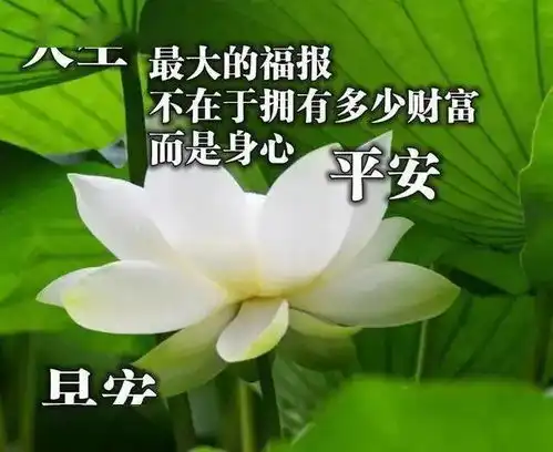  新年群发早晨好图片带字,非常暖心的微信早上好祝福语大全