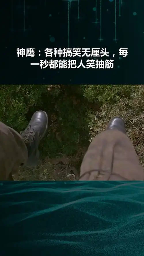  神鹰各种搞笑无厘头,每一秒都能把人笑抽筋