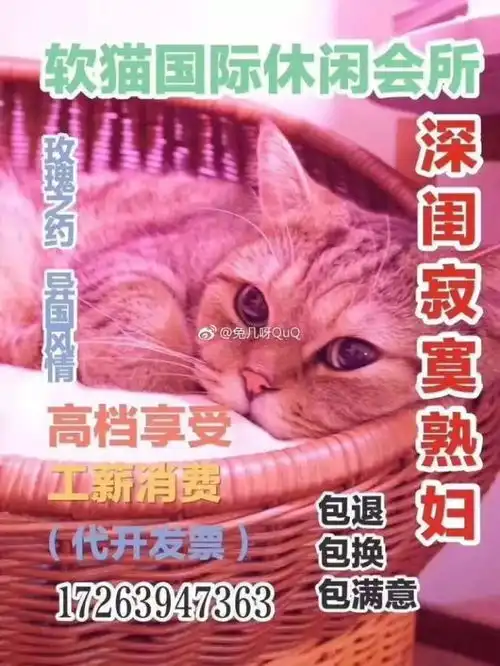  揭秘地下猫色会所的yp交易,是人性的丧失,还是利益的驱动