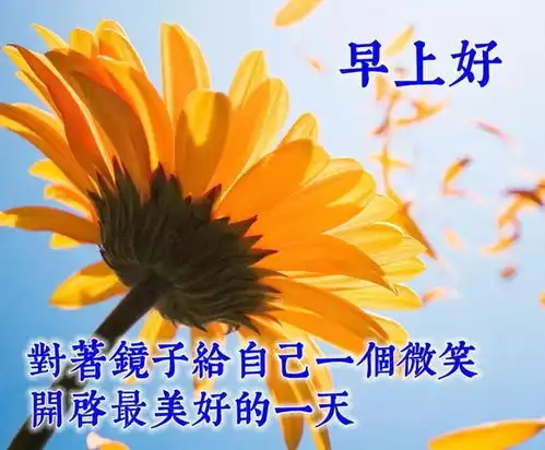  最美的早上好祝福问候语录朋友圈新版早晨好暖心祝福图片带字