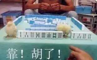  如再有人问你四川打麻将咋个才会赢直接把这条微