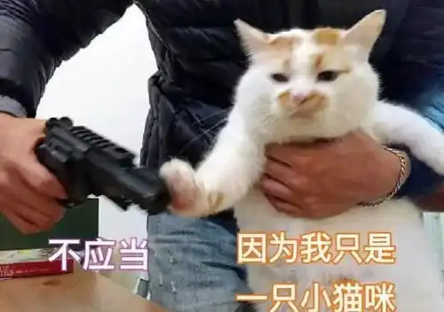  2019最火表情包大盘点今天你又用了哪个哈哈哈哈
