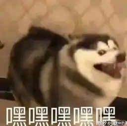  夜会门再次升级求锤得锤2.0,他的人设这么快要崩塌了