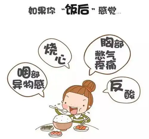  胃是怎么被你折腾坏的三七护胃,意想不到