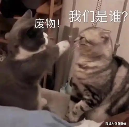  搞笑表情包图片好朋友,出来耍