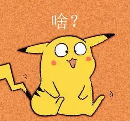 新闻哥要这样的儿女干啥  新闻哥要这样的儿女干啥