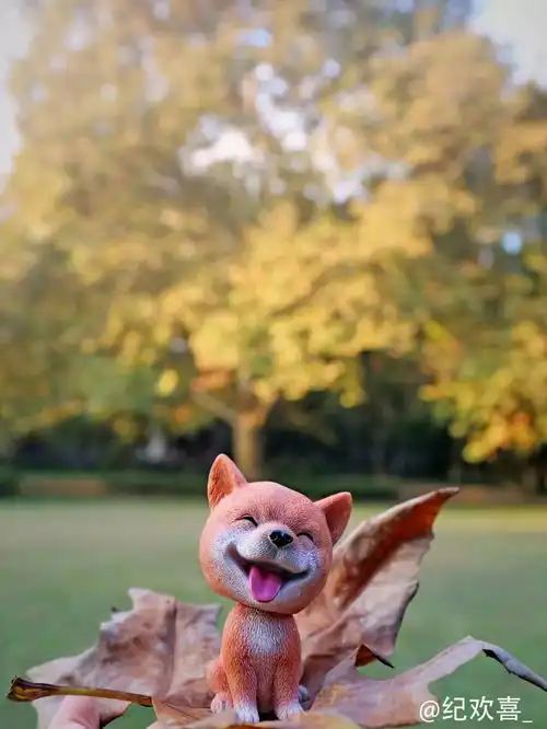 摄影携萌犬祝华东政法大学生日快乐  摄影携萌犬祝华东政法大学生日快乐