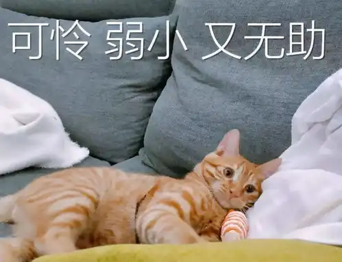  她不用我们同情了